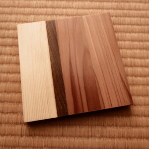 Quiet seam coaster