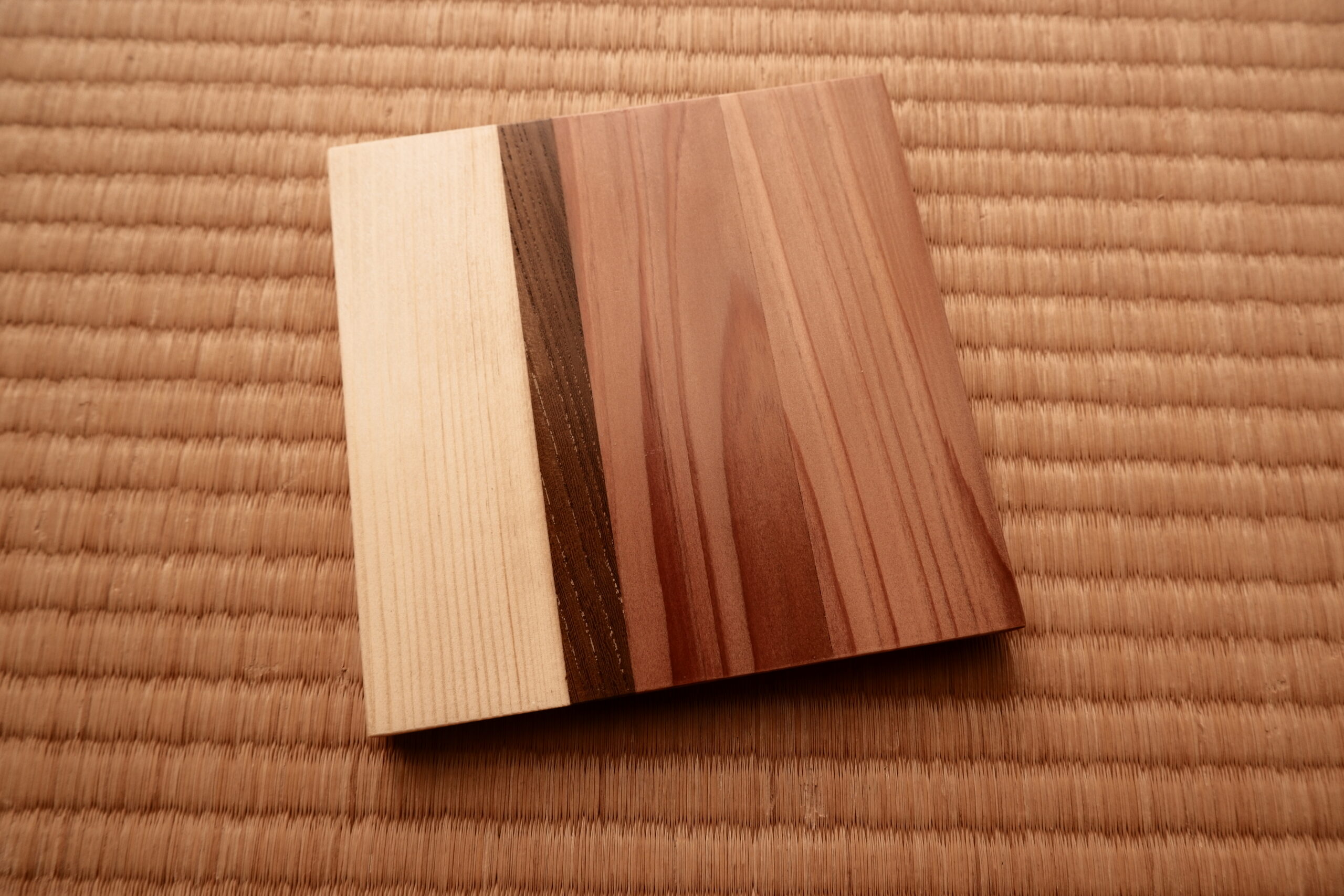 Quiet seam coaster