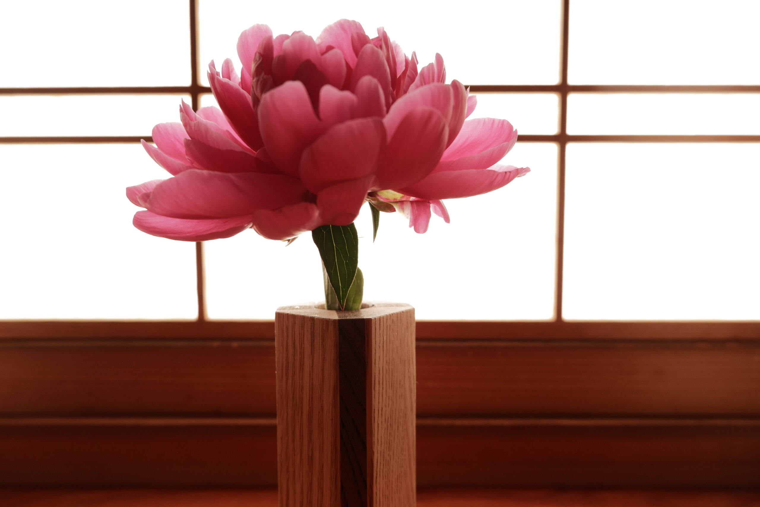Toki-Sashi wood vessel (Size L) - Image 4